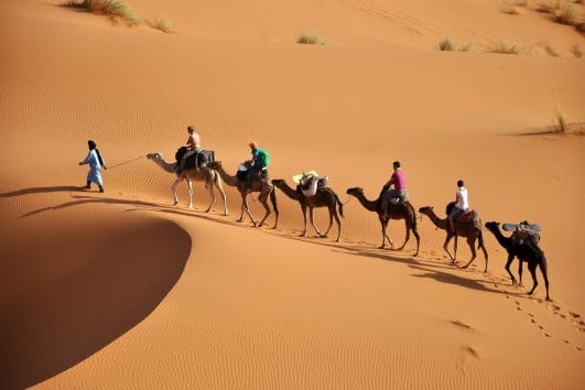 Sahara Desert
