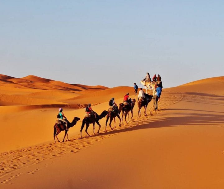 Warda Morocco Tours