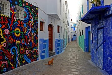 Warda Morocco Tours