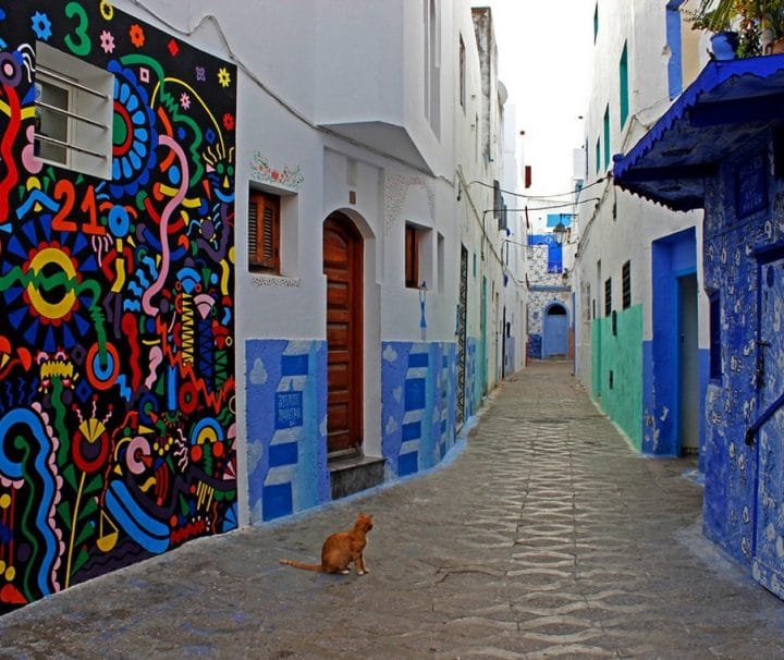 Warda Morocco Tours
