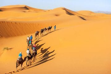 Warda Morocco Tours