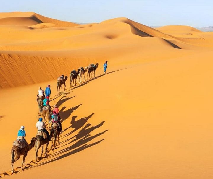 Warda Morocco Tours