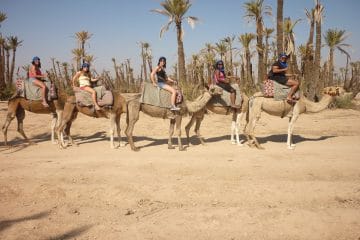 Warda Morocco Tours