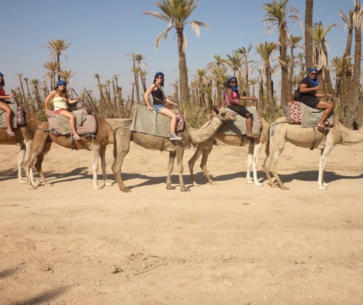 Warda Morocco Tours