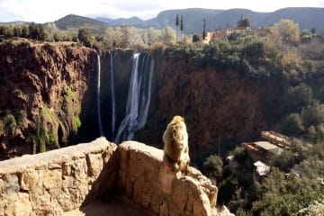 Warda Morocco Tours