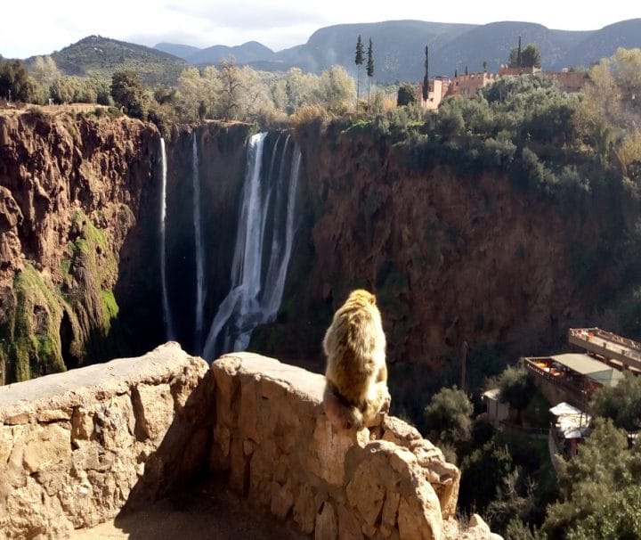 Warda Morocco Tours