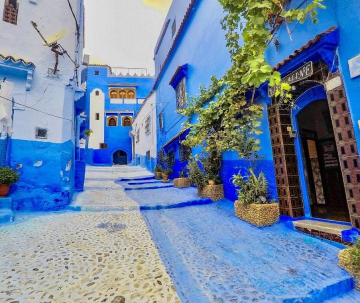 Warda Morocco Tours