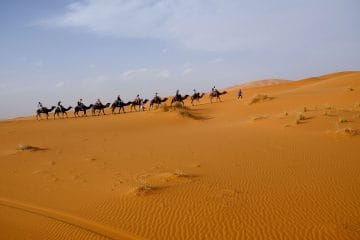 Warda Morocco Tours