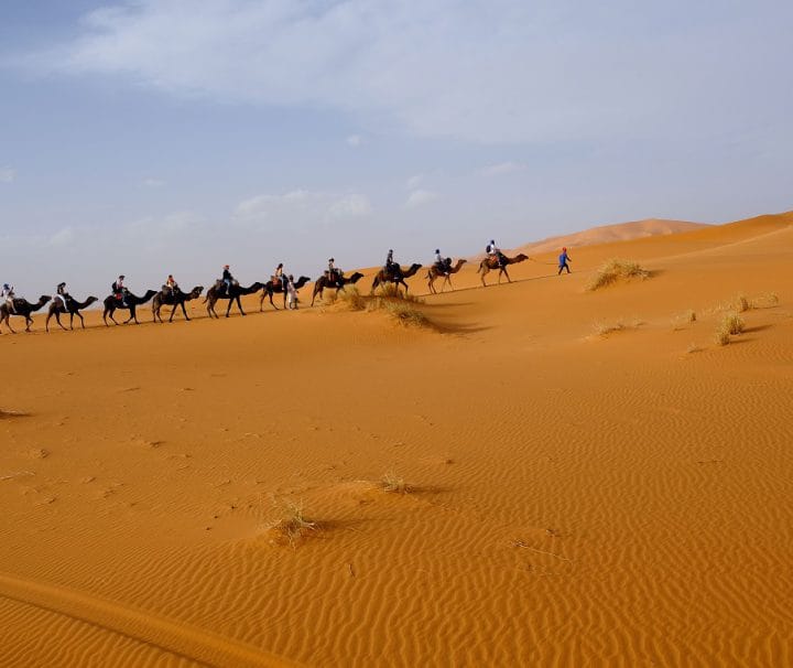 Warda Morocco Tours