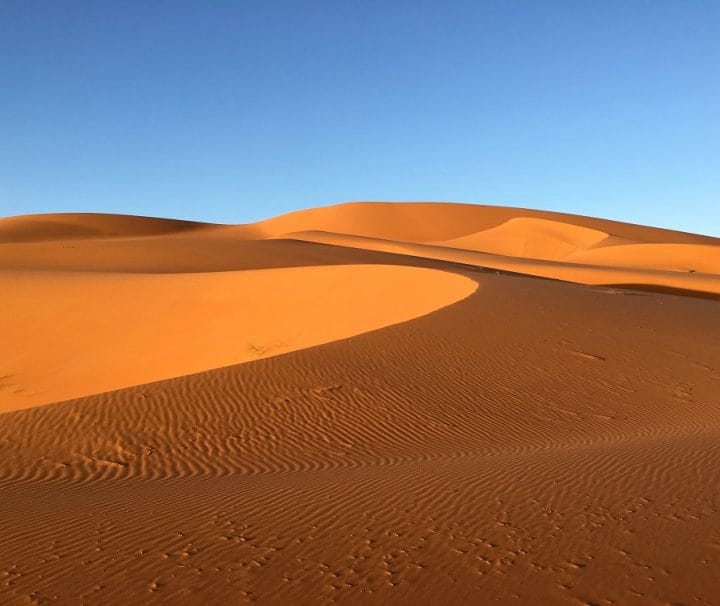 Warda Morocco Tours