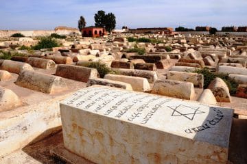 Warda Morocco Tours