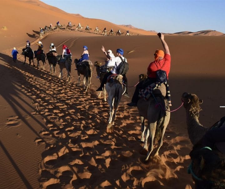 Warda Morocco Tours